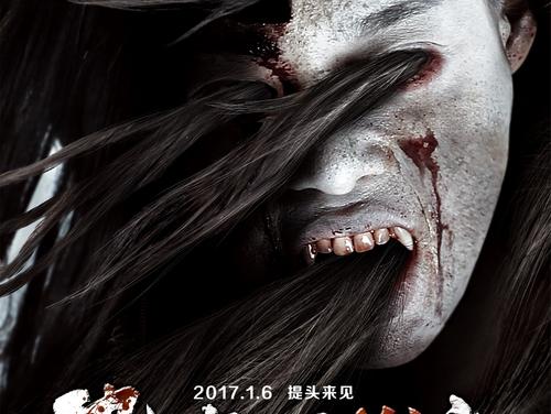 马斯特里赫特大学本科毕业证